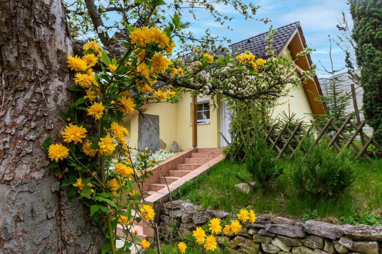 Apartmanovy Dum Vilémovice Kültér fotó